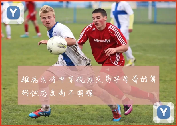 雄鹿或将申京视为交易字母哥的筹码但态度尚不明确